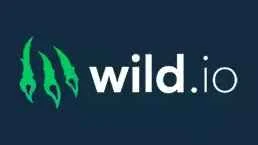 Logo de Wild.io Casino